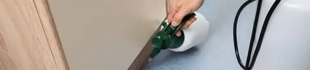 Bed bug exterminator treating baseboards and cracks with targeted spray in Fort Worth, TX