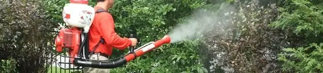 Mosquito control technician fogging shrubs and landscaping for mosquito treatment in Fort Worth, TX