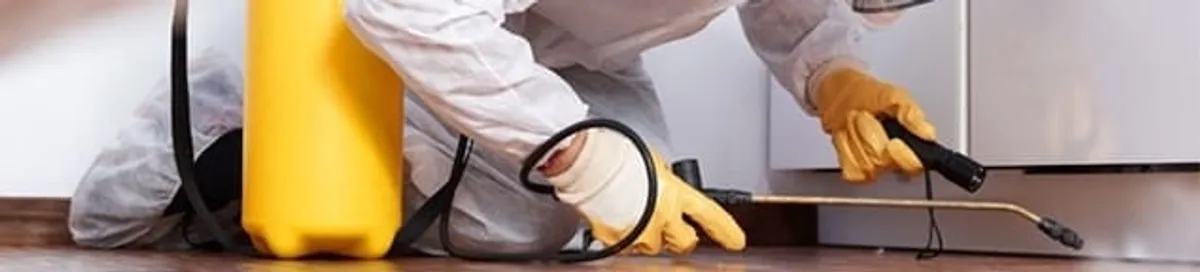 Roach exterminator treating cracks and crevices along kitchen baseboards in Fort Worth, TX