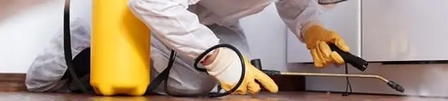 Roach exterminator treating cracks and crevices along kitchen baseboards in Fort Worth, TX