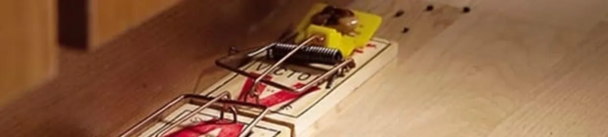 Rodent trap set indoors for rodent control and prevention in Fort Worth, TX
