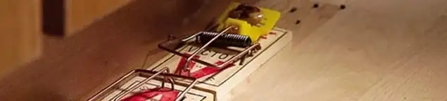 Rodent trap set indoors for rodent control and prevention in Fort Worth, TX